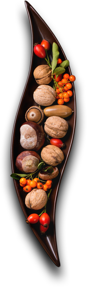 Foodcorridor Catering Services